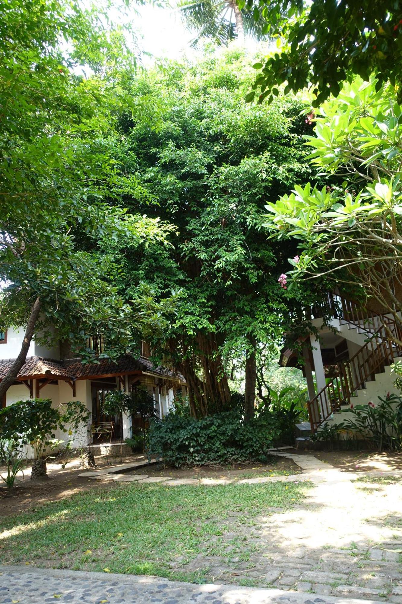 Villa Jati Mangsit Senggigi Exterior foto